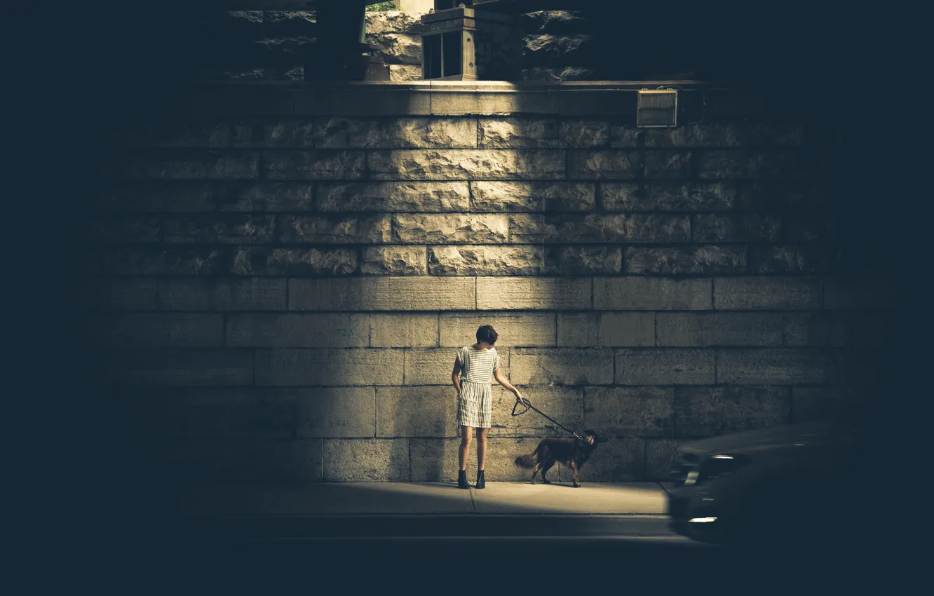 Photo wallpaper light, girl, wall, Halo, woman, dog, glow, street