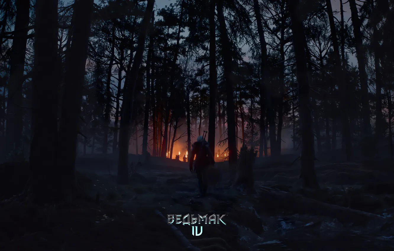 Photo wallpaper forest, the game, CRIS, The WITCHER 4, screen shot