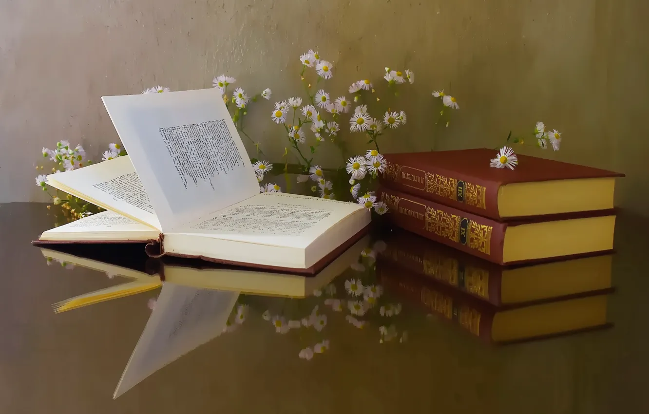 Photo wallpaper book, library, still life