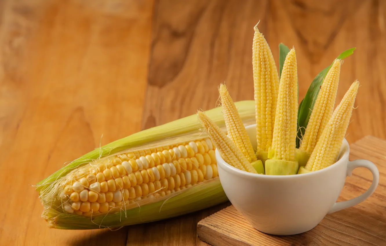 Photo wallpaper corn, the cob, corn grains