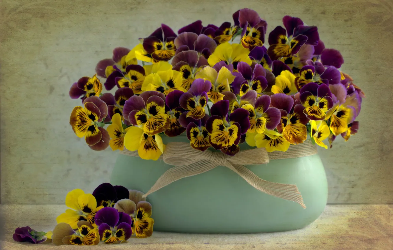 Photo wallpaper bouquet, still life, Pansy