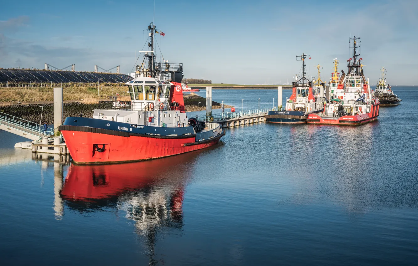 Photo wallpaper Netherlands, court, Terneuzen, State Of Minnesota, Westbuitenhaven