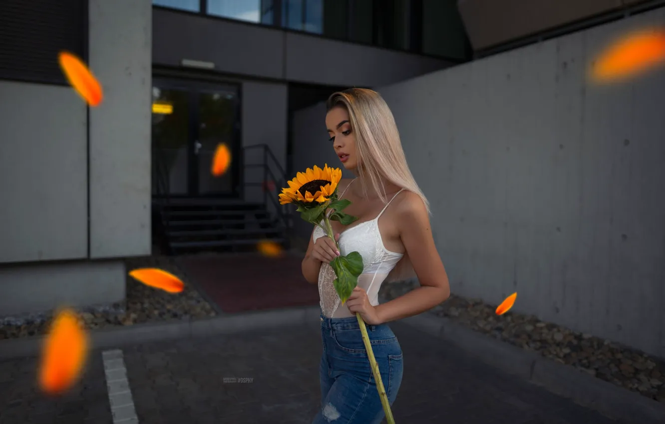 Photo wallpaper sunflowers, sexy, pose, model, building, portrait, jeans, makeup