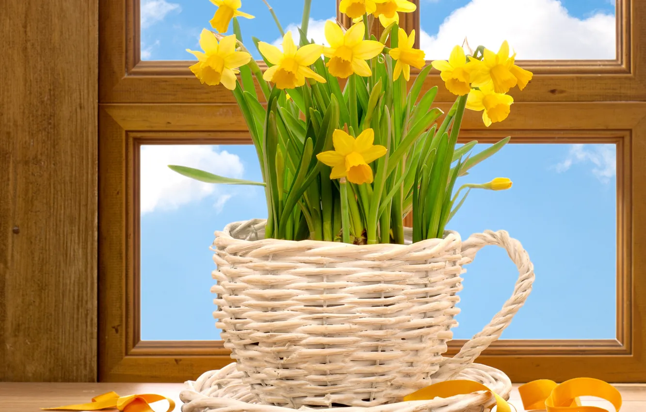 Photo wallpaper summer, the sky, clouds, flowers, yellow, nature
