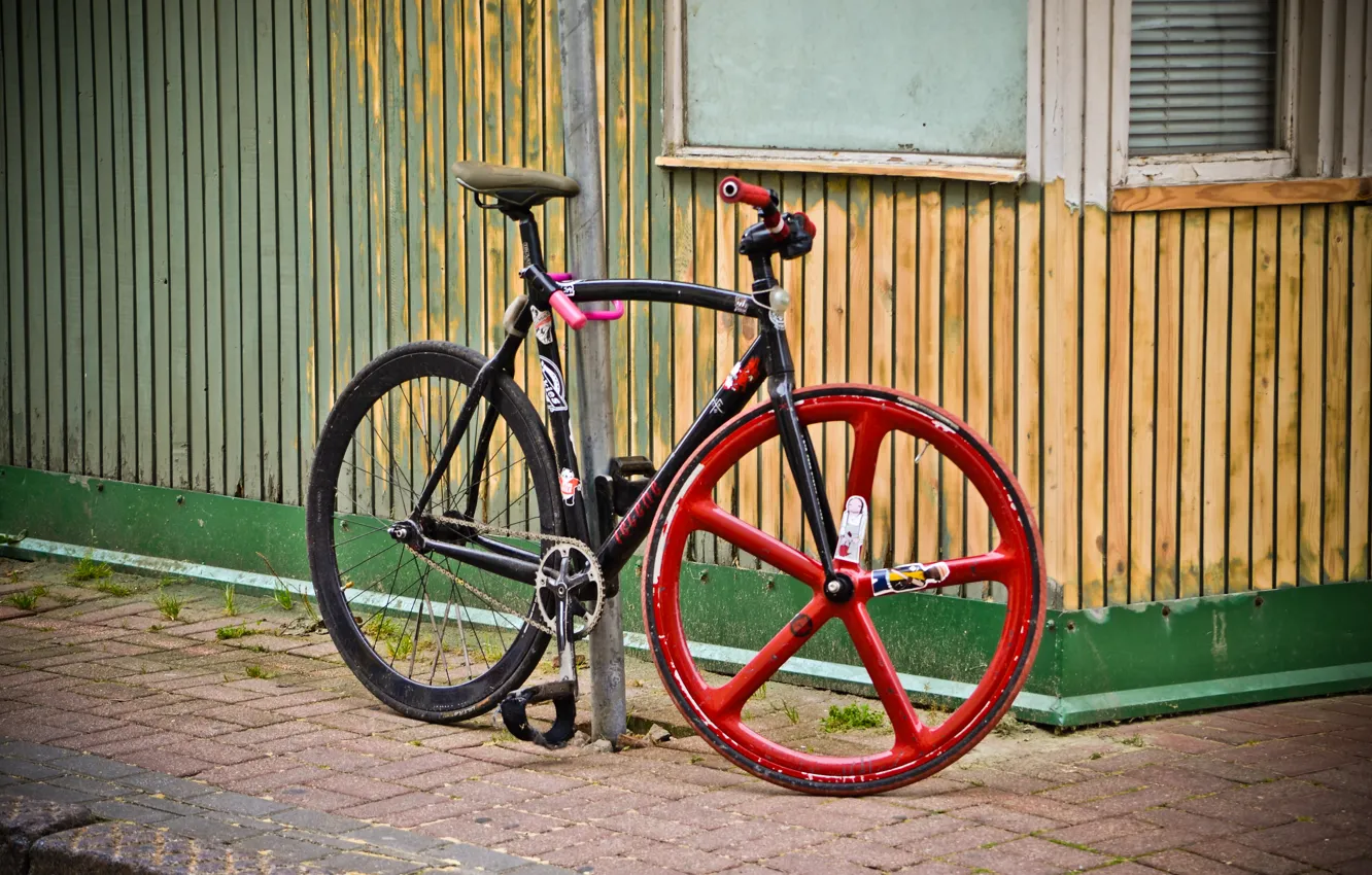 Photo wallpaper bike, sport, frame, wheel, Cycling, roadies