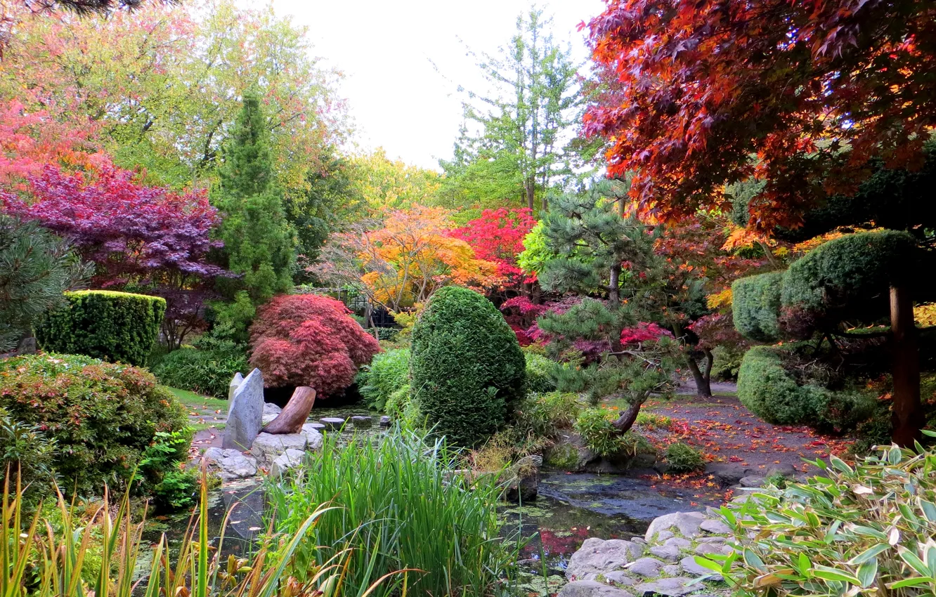 Photo wallpaper autumn, trees, pond, Park, stones, UK, the bushes, Liverpool