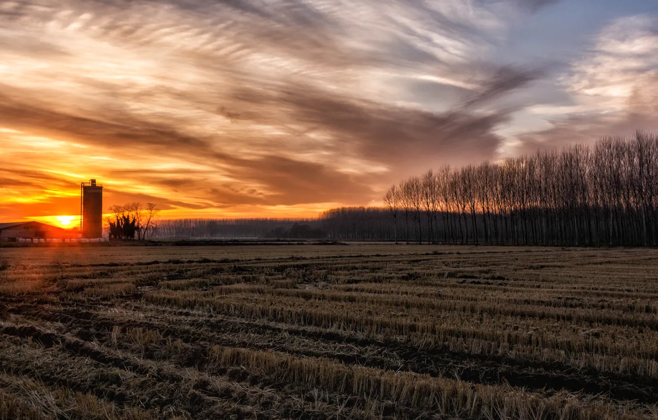 Photo wallpaper field, the sky, sunset