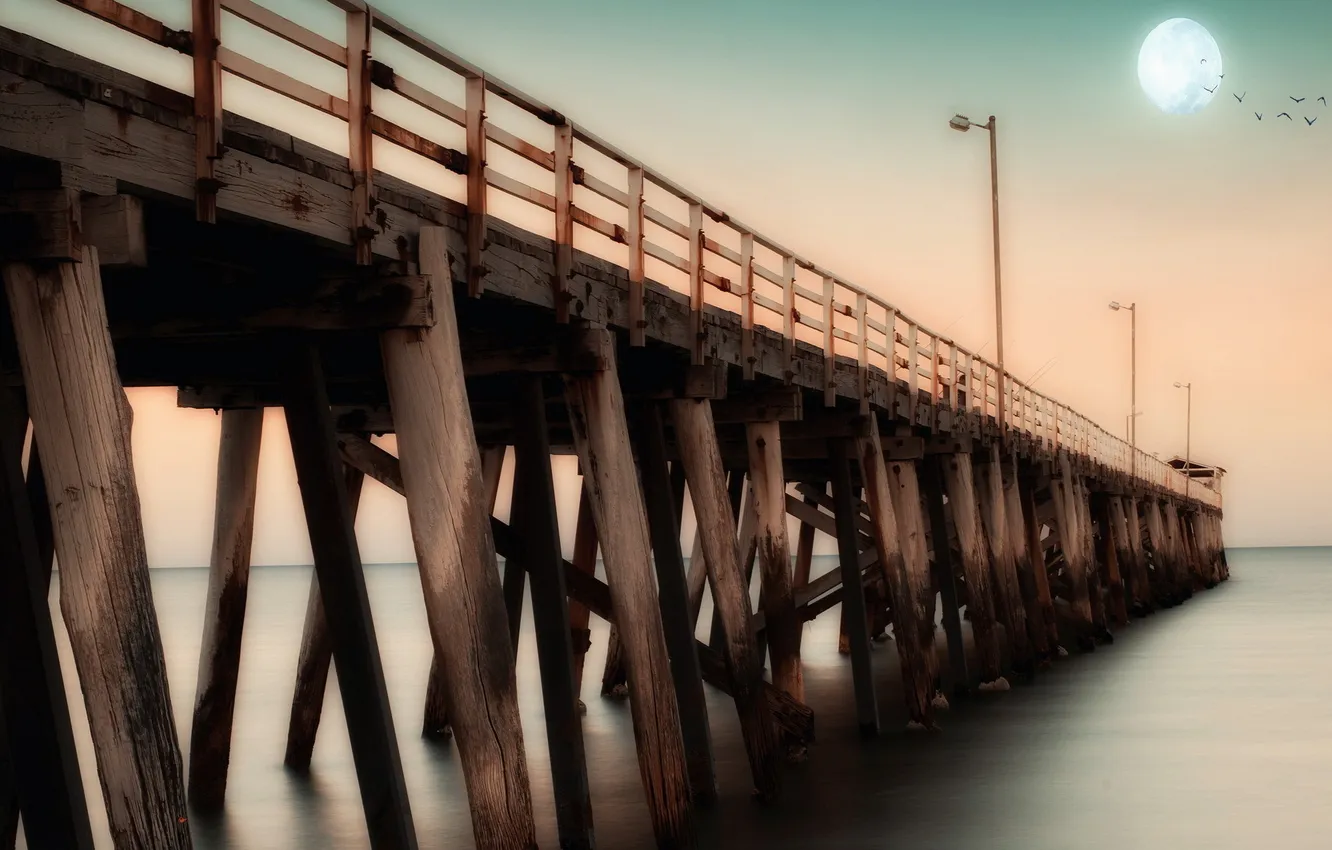 Photo wallpaper sea, bridge, Australia, South Australia, Adelaide, Brighton