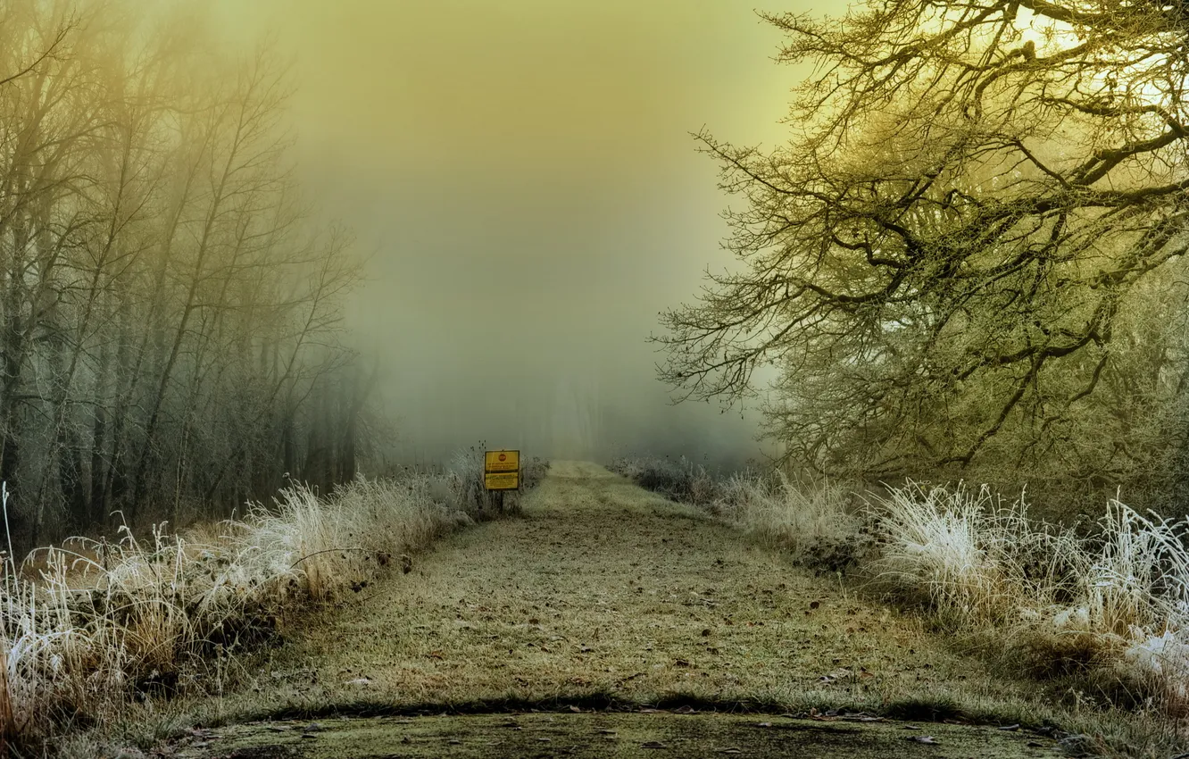 Photo wallpaper road, landscape, fog