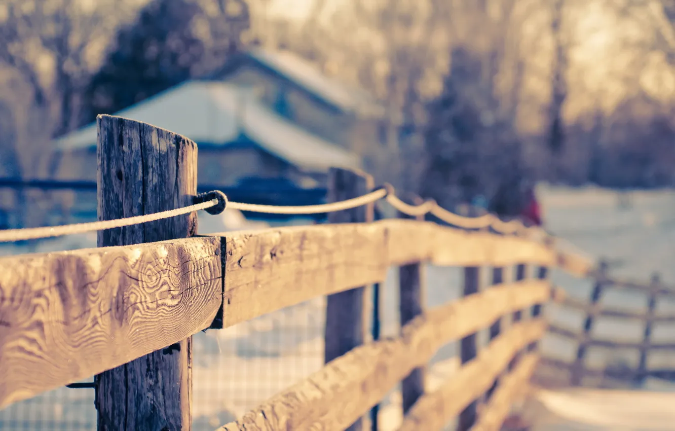 Photo wallpaper macro, background, the fence