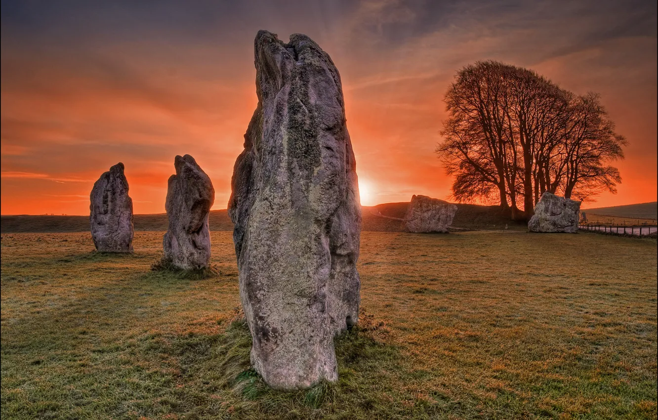 Photo wallpaper field, the sky, grass, clouds, rays, trees, landscape, sunset