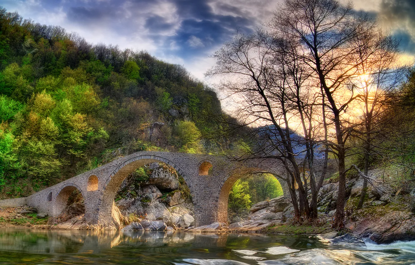 Photo wallpaper forest, the sky, clouds, rays, trees, landscape, mountains, bridge