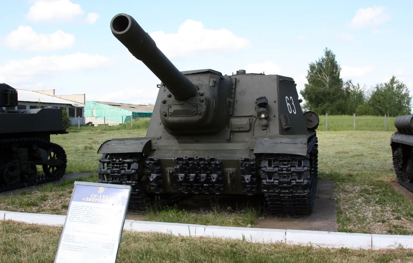 Photo wallpaper trunk, self-propelled, St. John's wort, SU-152, gun