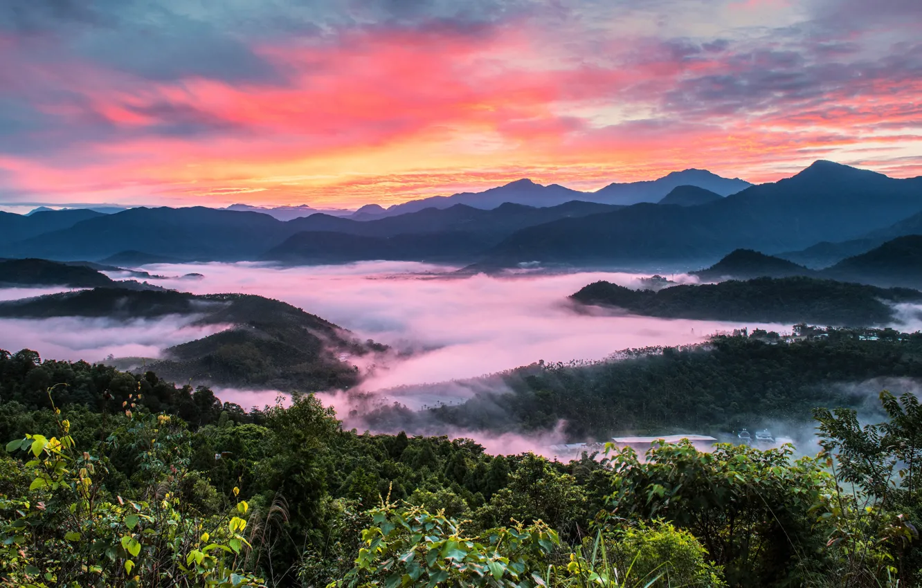 Photo wallpaper mountains, fog, dawn, hills, vegetation, Thailand