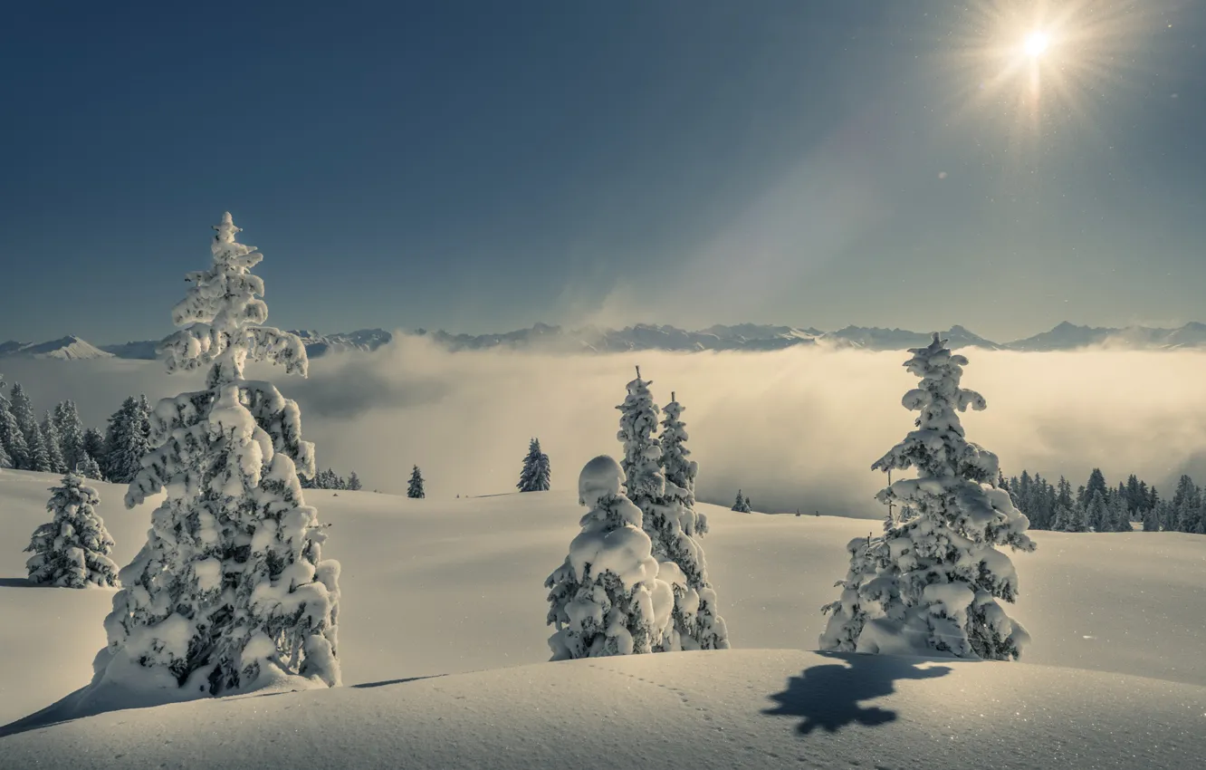 Photo wallpaper winter, forest, the sky, the sun, snow, mountains, fog, ate
