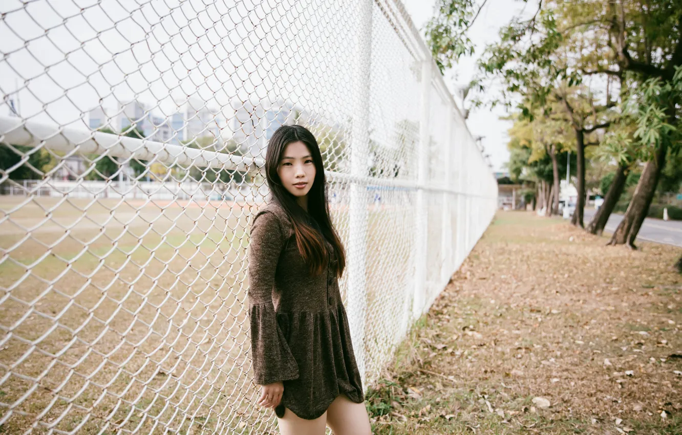 Photo wallpaper girl, face, hair, the fence, dress