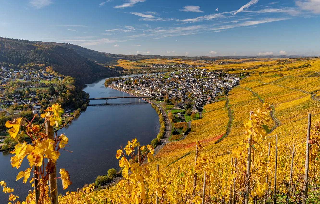 Photo wallpaper Autumn, Germany, Hill, Landscape, Vineyard, Rhineland-Palatinate