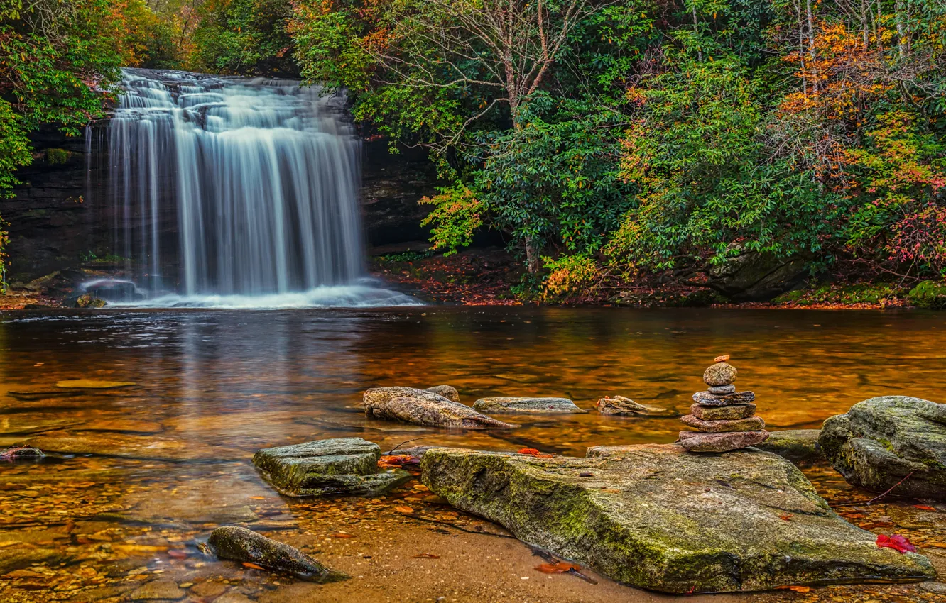 Photo wallpaper autumn, forest, trees, stream, stones, waterfall, USA, waterfalls
