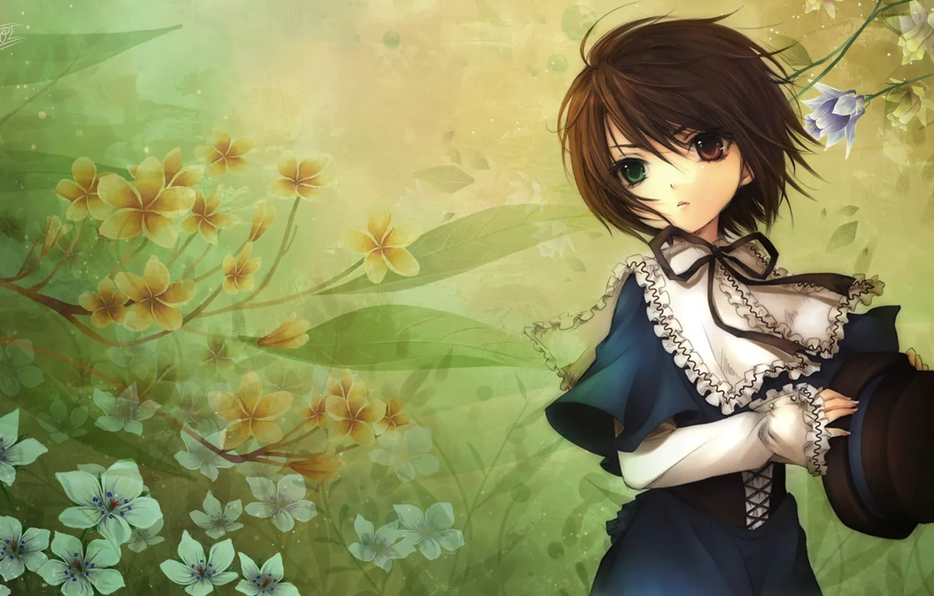 Photo wallpaper girl, flowers, background, the wind, hat, art, different eyes, souseiseki