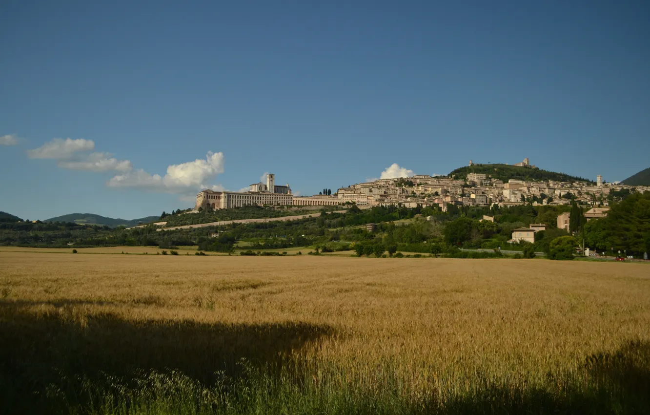 Photo wallpaper Italy, Field, Italy, Italia, Assisi, Fields, Assise