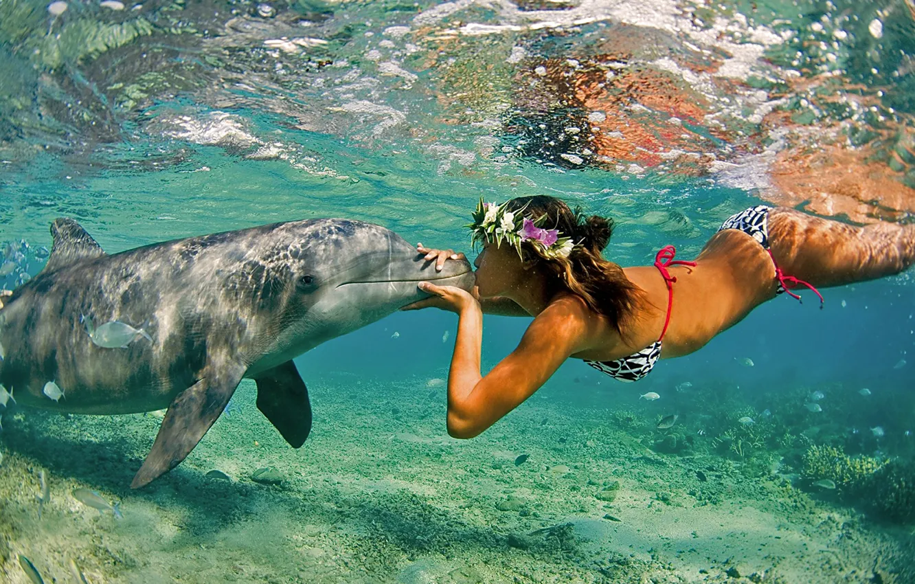 Photo wallpaper Nature, The ocean, Sea, Girl, Kiss, Summer, Dolphin, Pair