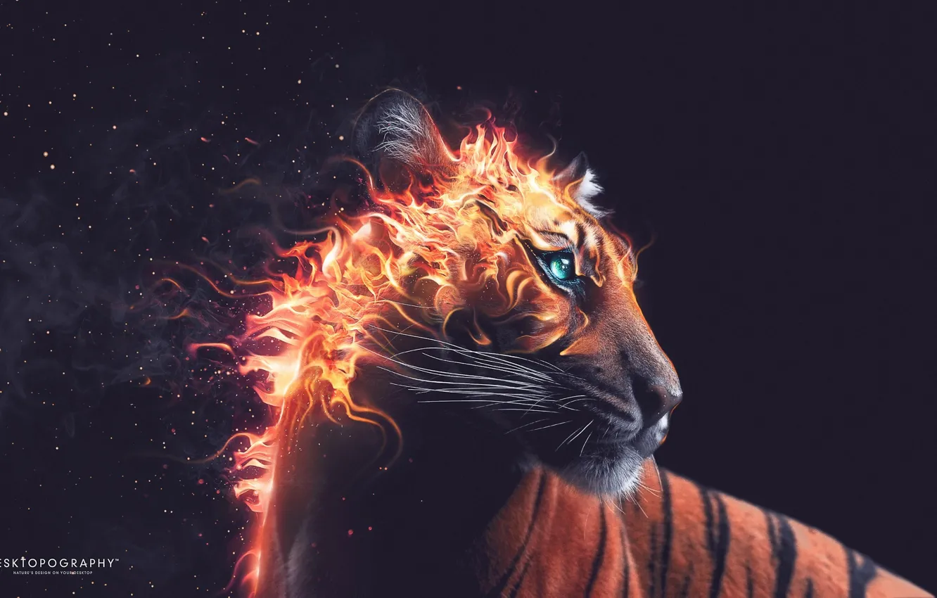 Photo wallpaper look, lights, sparks, beast, desktopography