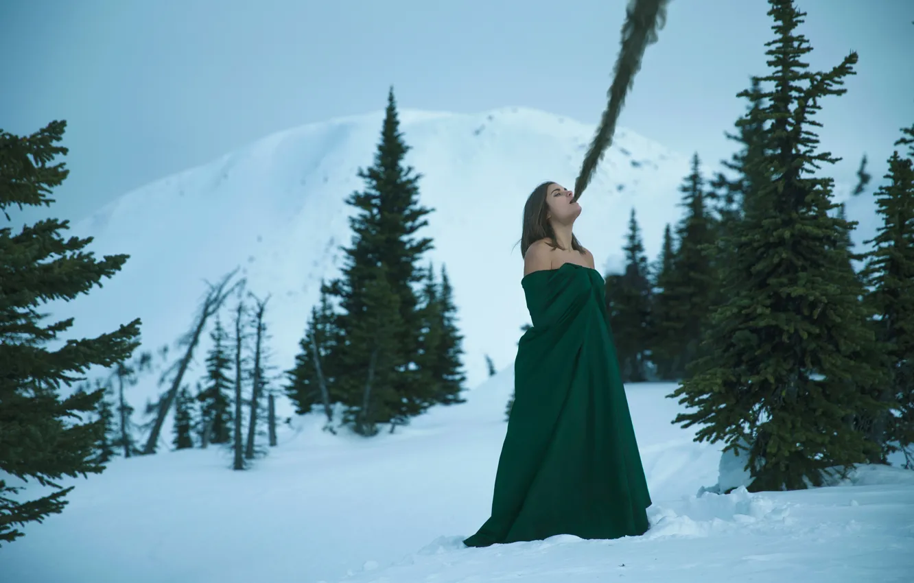 Photo wallpaper girl, snow, tree, Lichon, Elimination