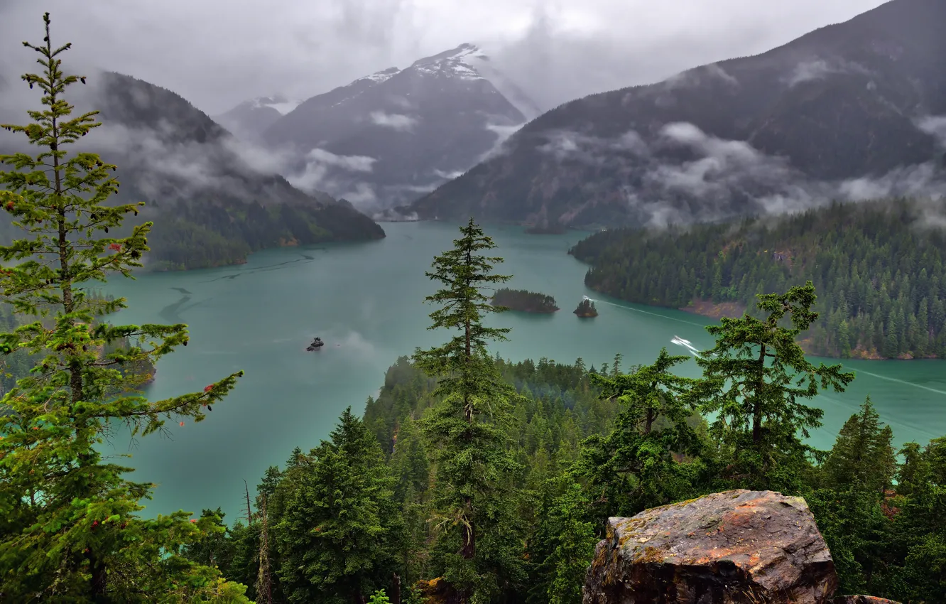 Photo wallpaper forest, landscape, mountains, nature, fog, lake, stones