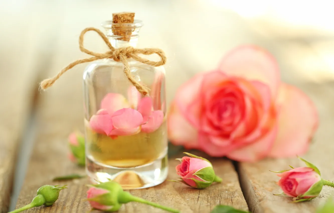 Photo wallpaper perfume, petals, rose, pink, petals, pink roses, oil, anoint