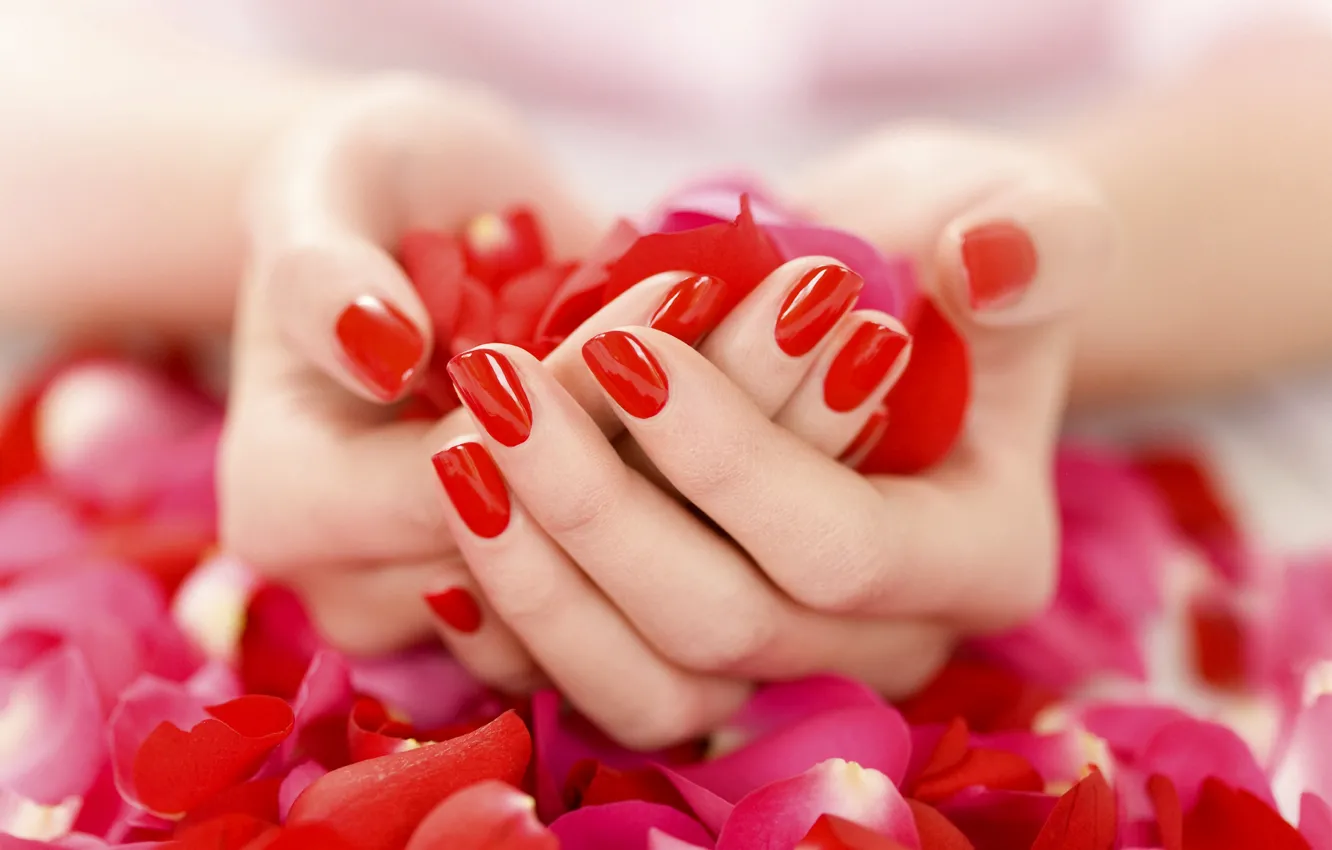 Photo wallpaper hands, petals, gently, manicure, red nail Polish