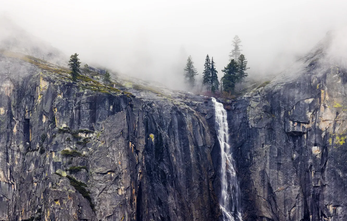 Photo wallpaper United States, California, Yosemite Village