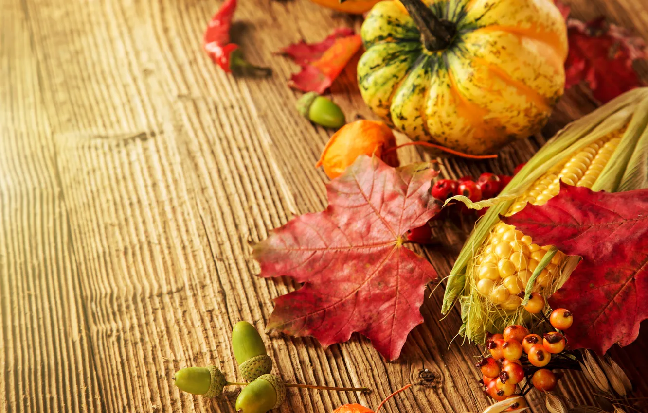 Photo wallpaper autumn, leaves, berries, tree, corn, harvest, pumpkin