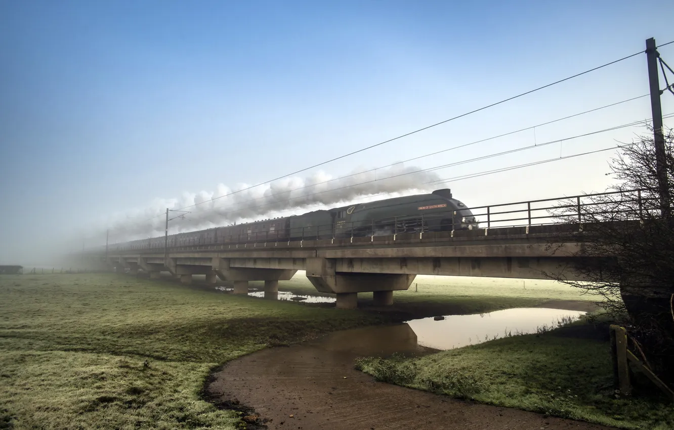 Photo wallpaper landscape, bridge, train