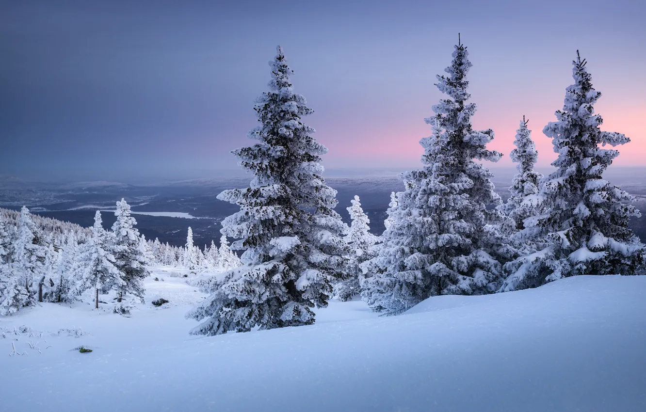 Photo wallpaper winter, frost, forest, snow, hills, view, the evening, ate