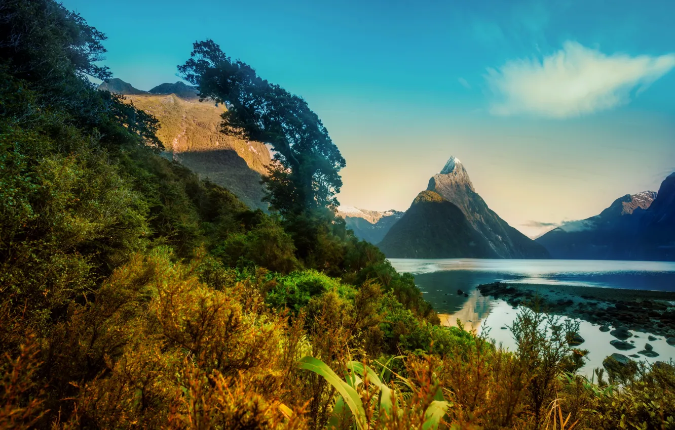 Photo wallpaper Mountains, New Zealand, Landscape