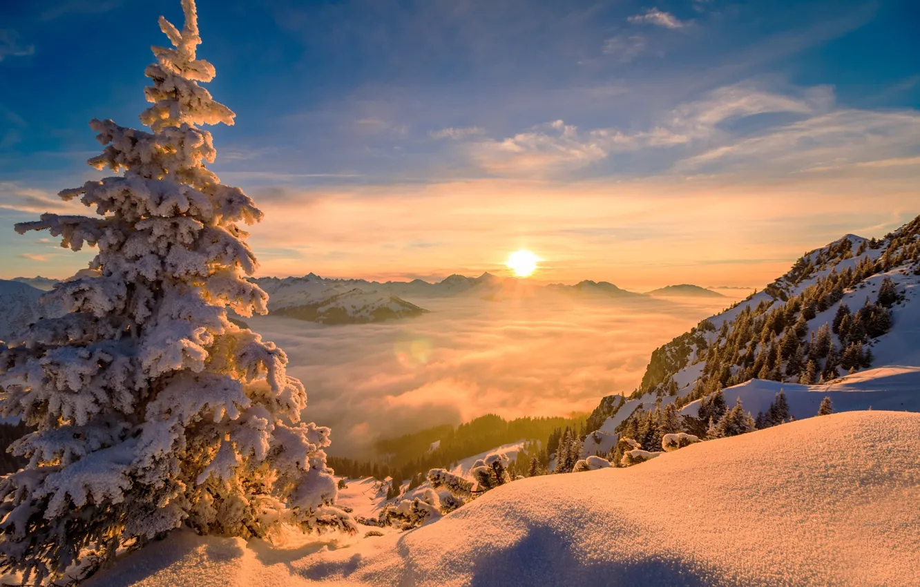 Photo wallpaper winter, the sun, clouds, trees, landscape, mountains, nature, tree