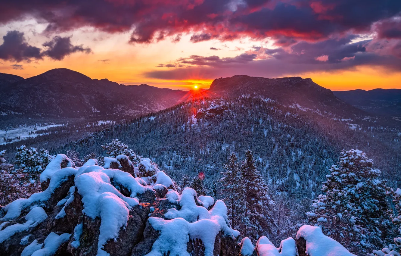 Photo wallpaper winter, forest, snow, mountains, sunrise, dawn, Colorado, Colorado