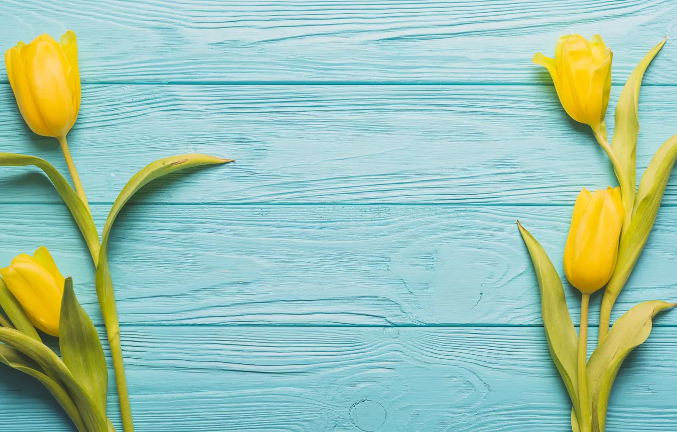Photo wallpaper flowers, yellow, background, tulips