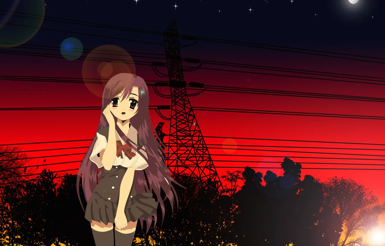 Photo wallpaper girl, trees, sunset, nature, wire, anime, art, form