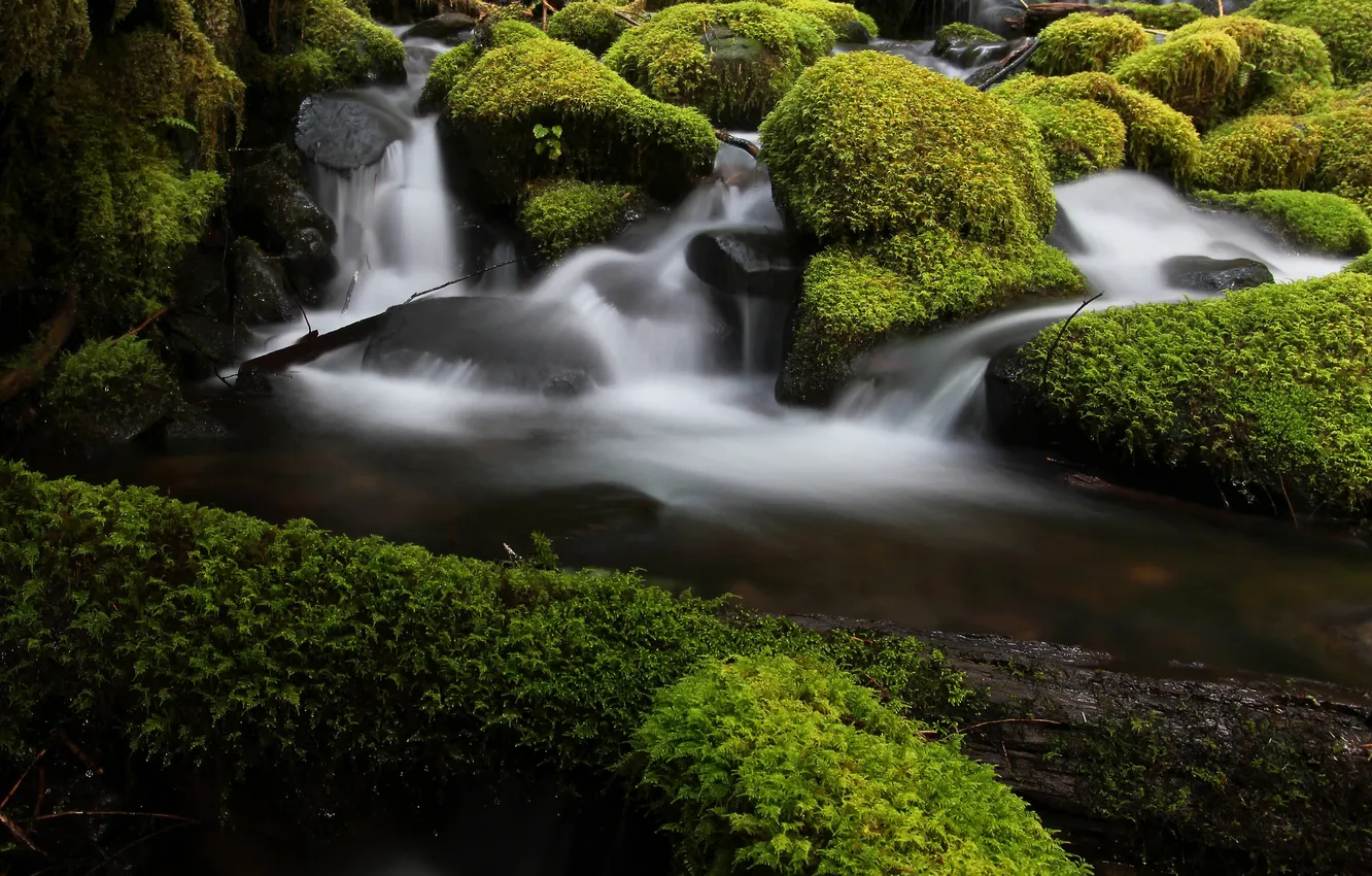 Photo wallpaper water, stones, moss, stream
