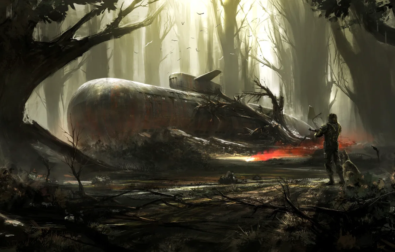 Photo wallpaper forest, bird, people, submarine, Find in the woods