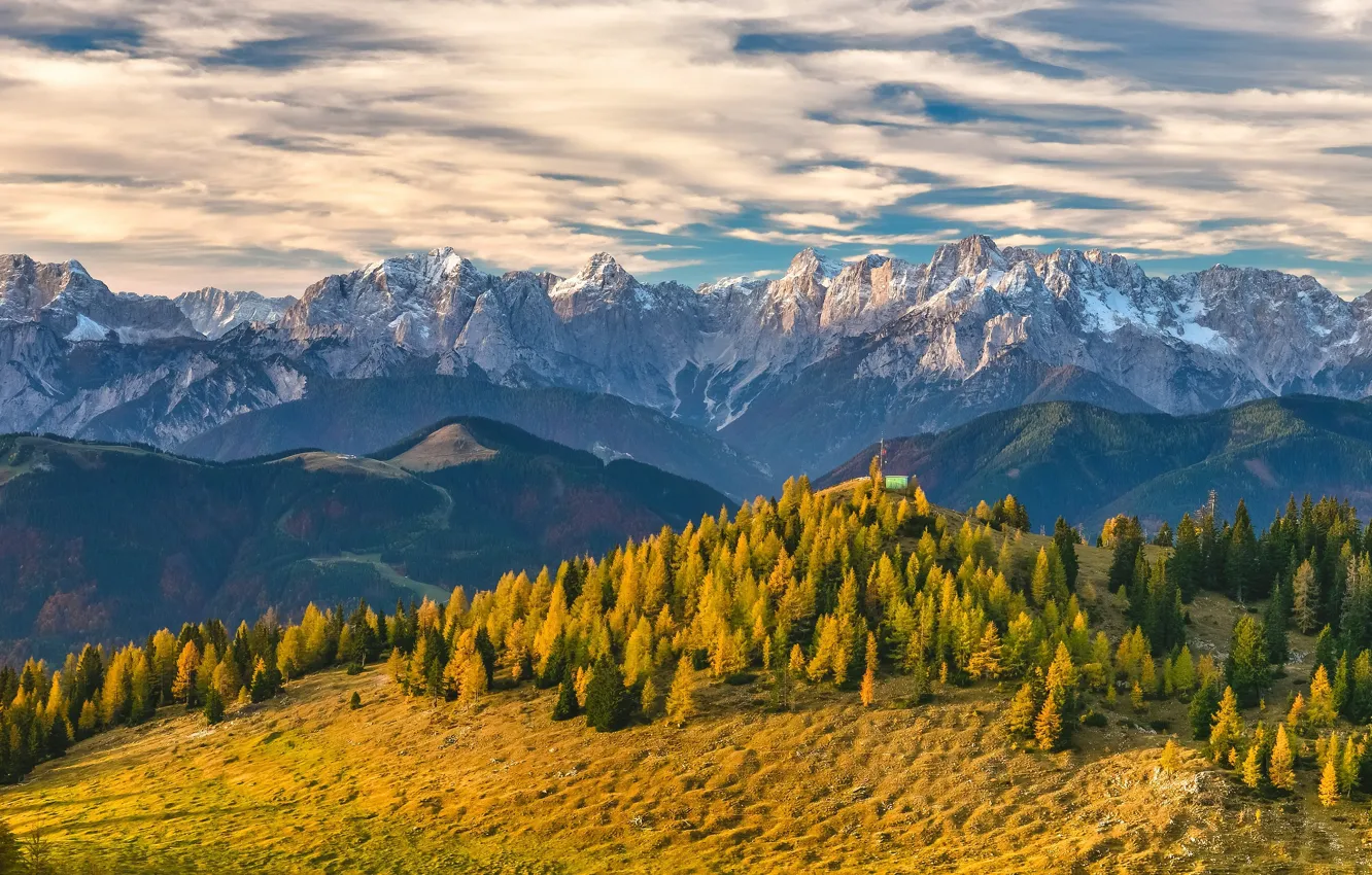 Photo wallpaper autumn, forest, the sky, clouds, light, snow, mountains, yellow
