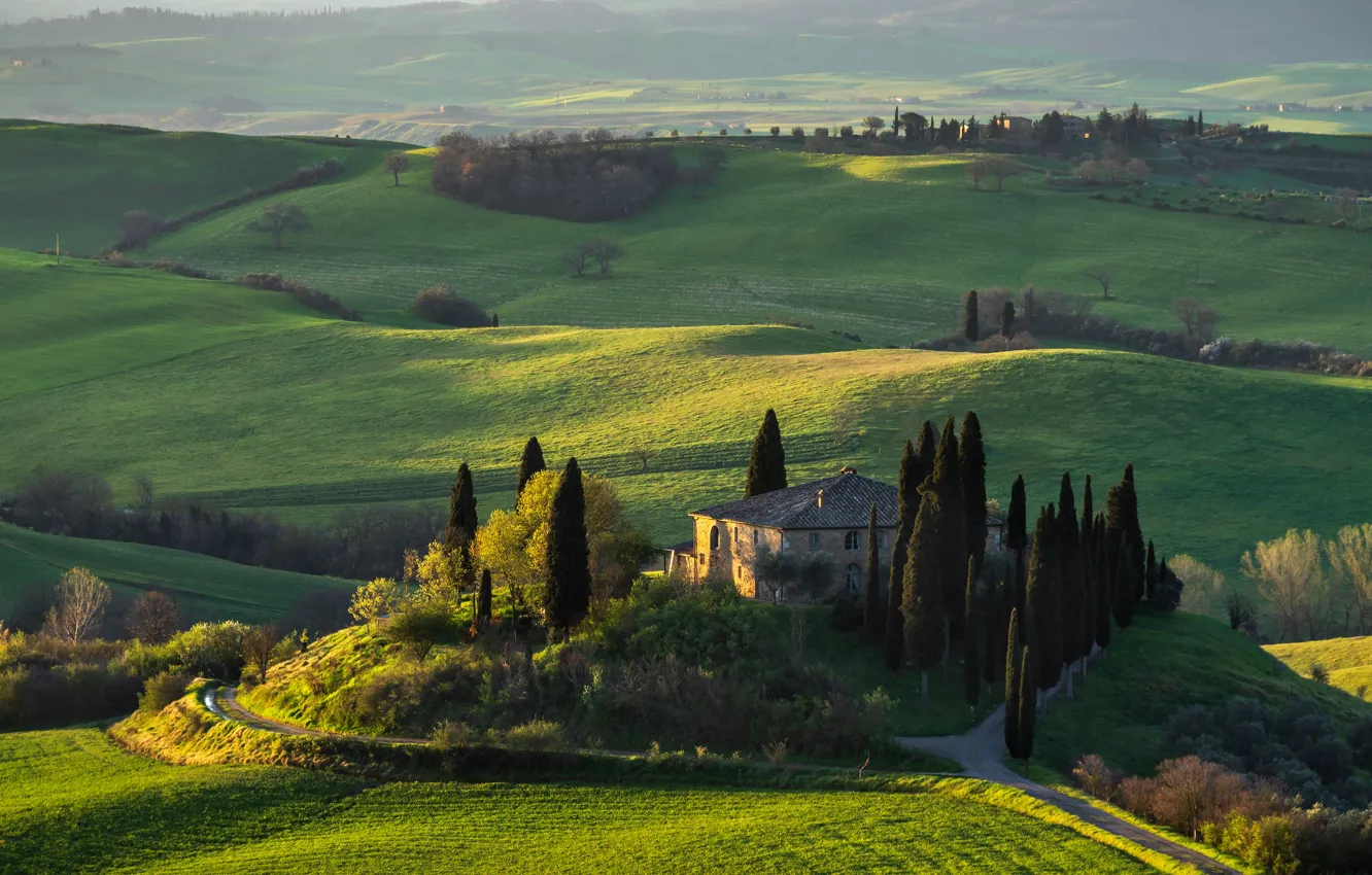 Photo wallpaper field, morning, light, Italy, hills, road, Tuscany, view