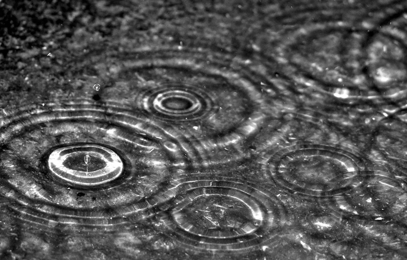 Photo wallpaper drops, macro, rain