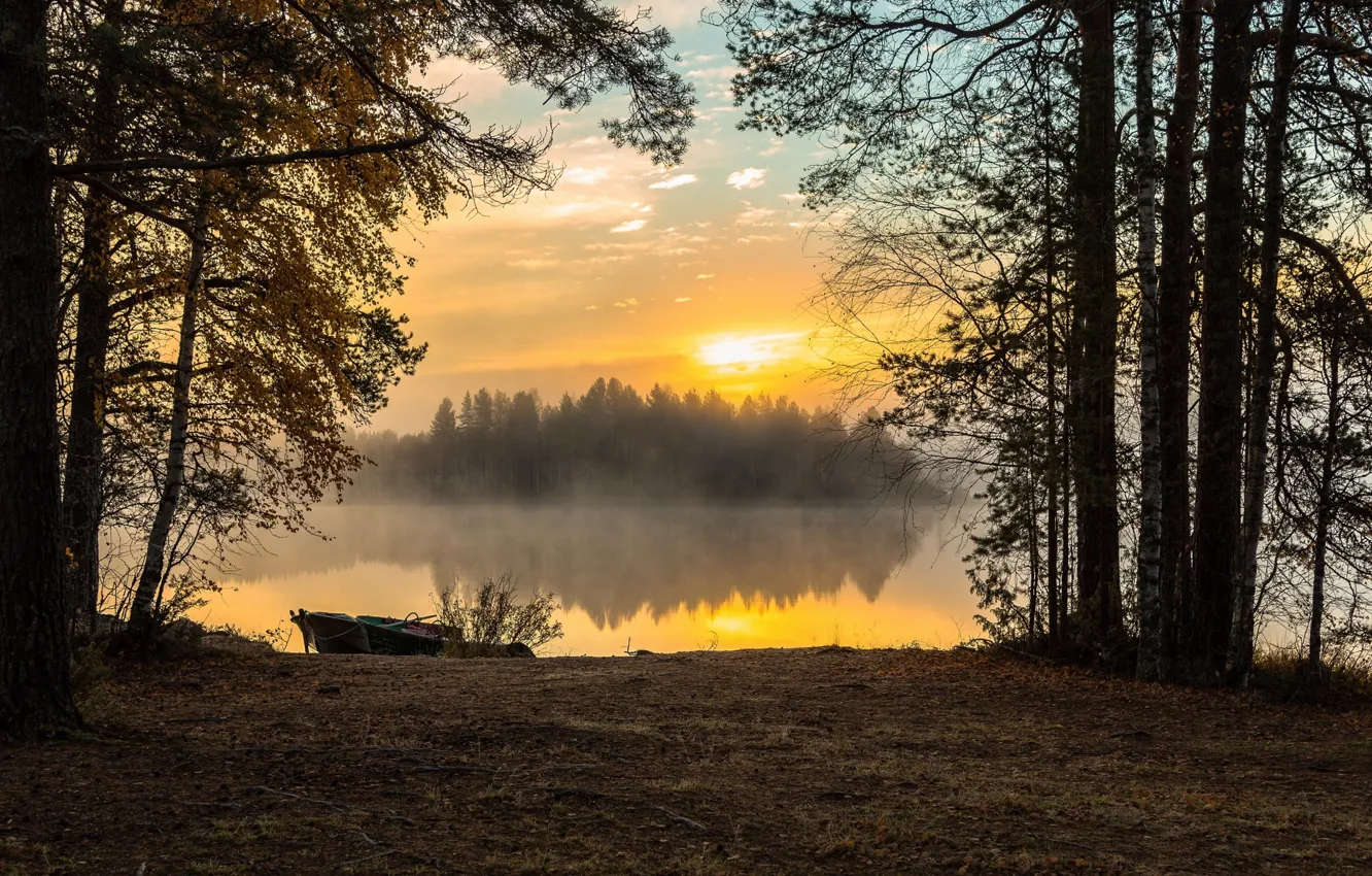 Photo wallpaper autumn, forest, the sky, trees, fog, river, dawn, boat