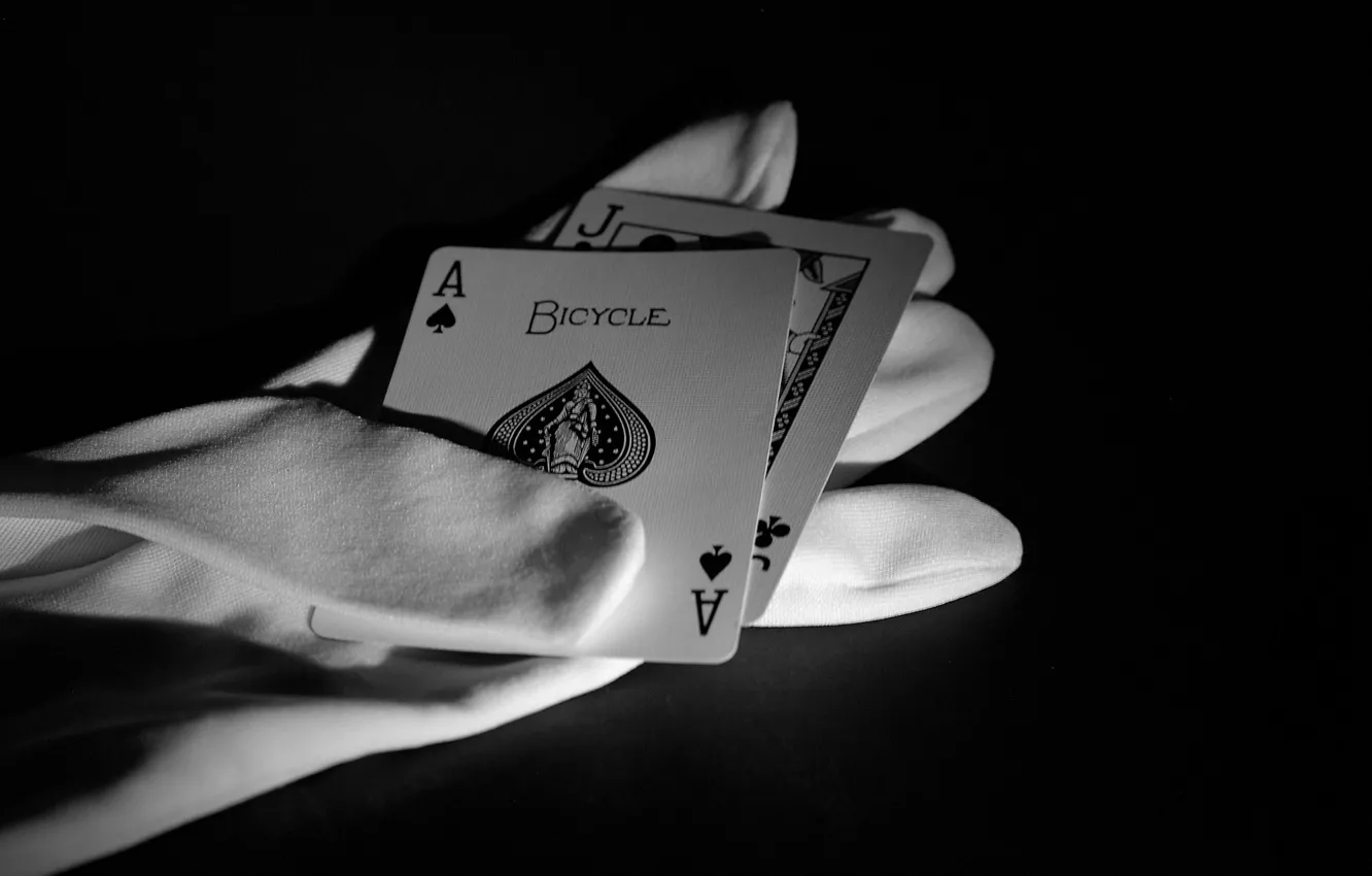 Wallpaper card, background, gloves for mobile and desktop, section