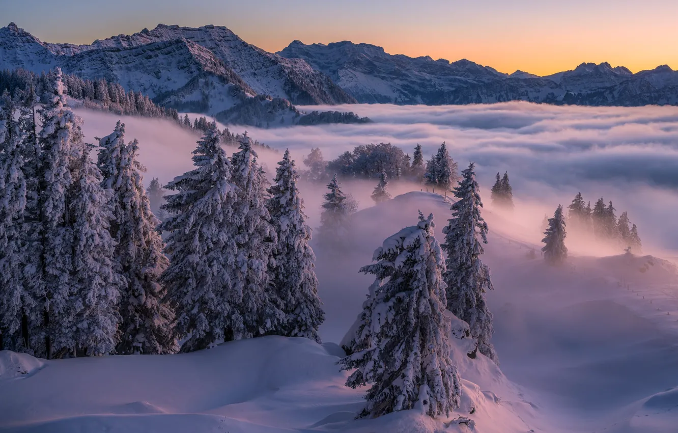 Photo wallpaper winter, forest, clouds, snow, trees, landscape, mountains, nature