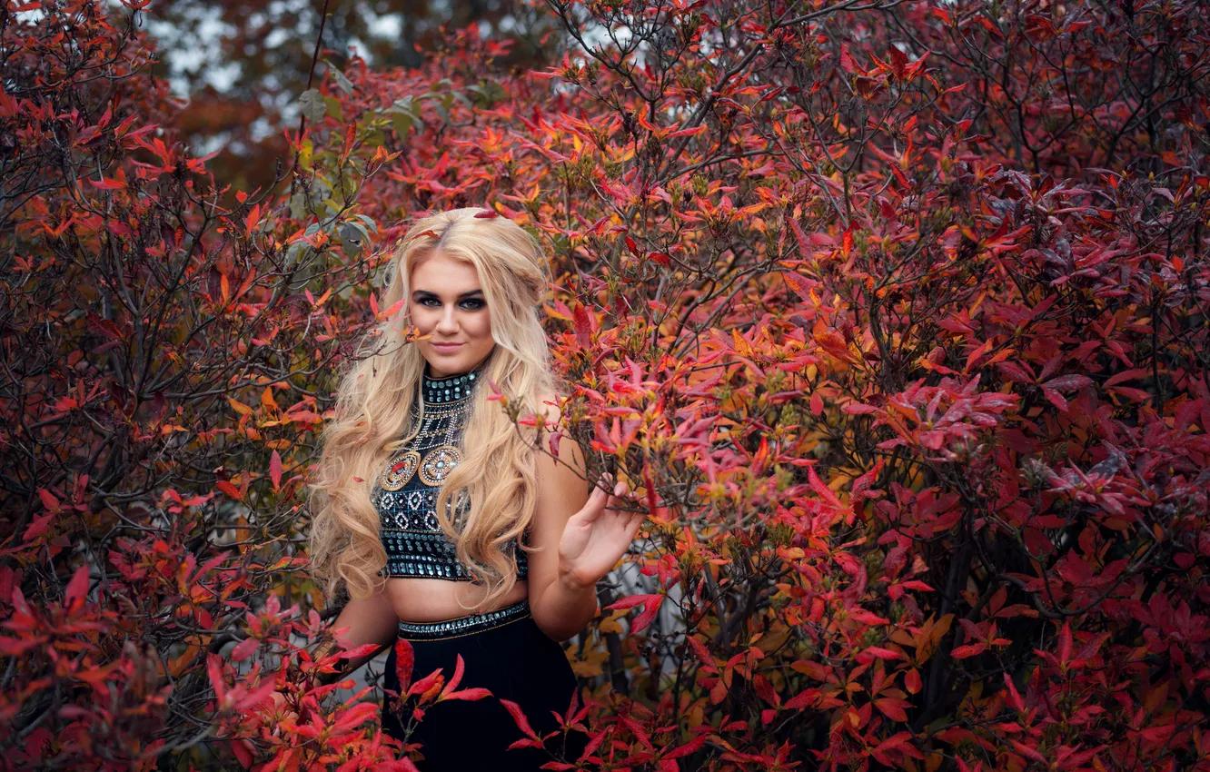 Photo wallpaper look, girl, nature, face, the bushes