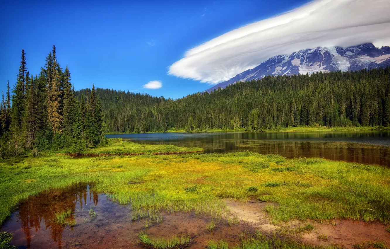 Photo wallpaper forest, the sky, grass, clouds, trees, mountains, lake, USA