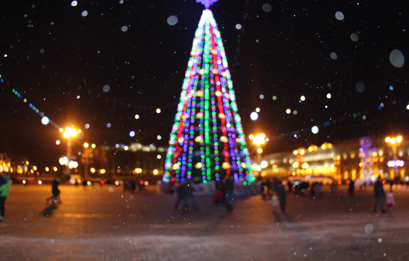 Photo wallpaper winter, new year, tree, Republic square, Minsk, the main tree